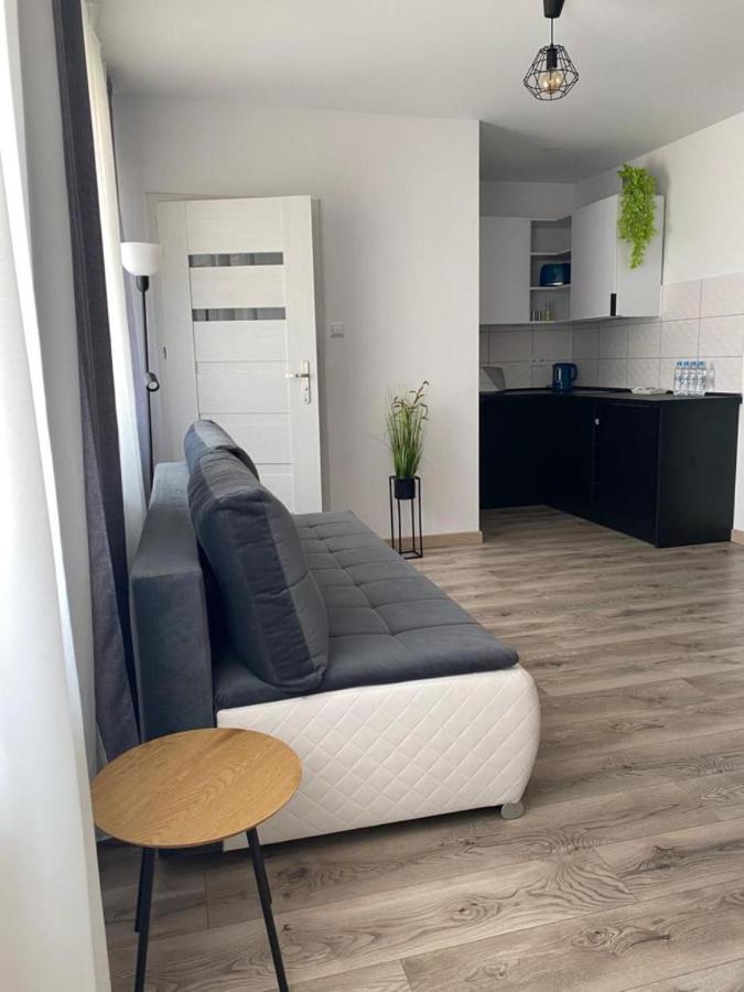 Apartamenty Zatorze ليشنو المظهر الخارجي الصورة