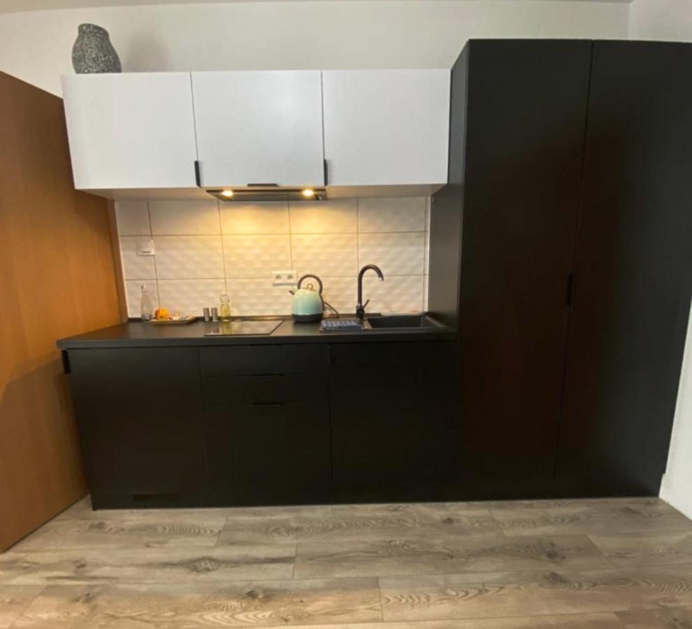 Apartamenty Zatorze ليشنو المظهر الخارجي الصورة